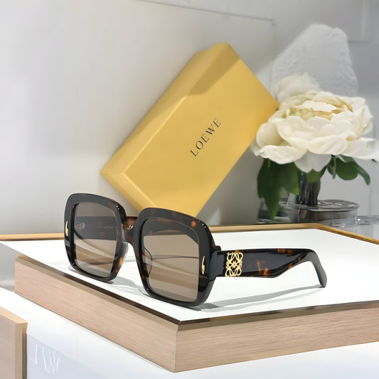 LOEWE SUNGLASSES